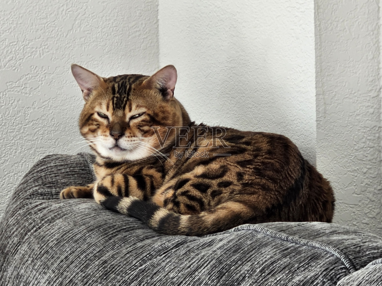 里奥，孟加拉人照片摄影图片