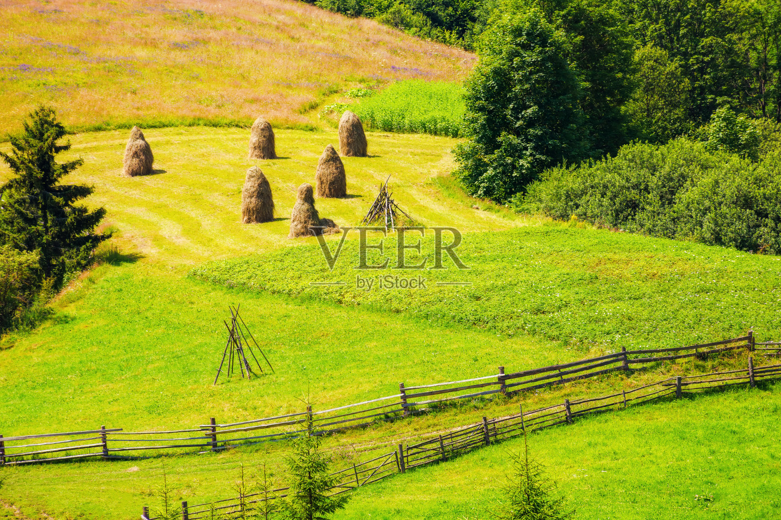 山坡上的农田，绿色草地上有干草堆照片摄影图片
