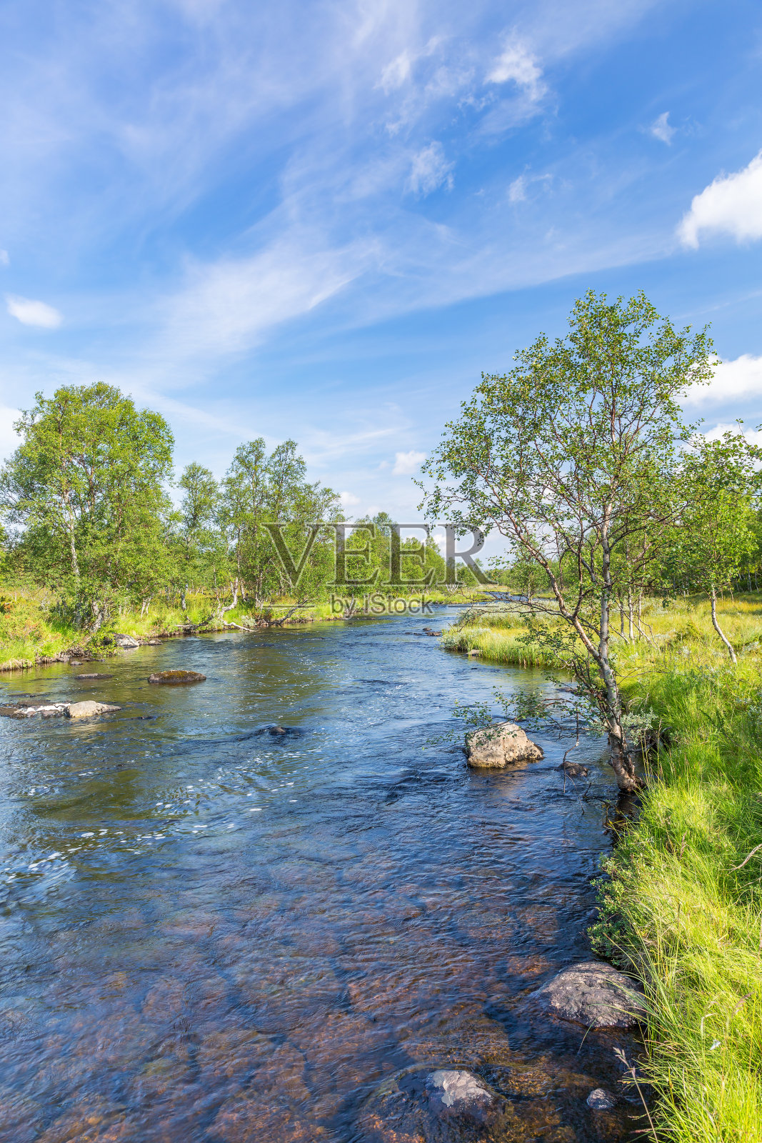 河流流经一片美丽的森林景观照片摄影图片