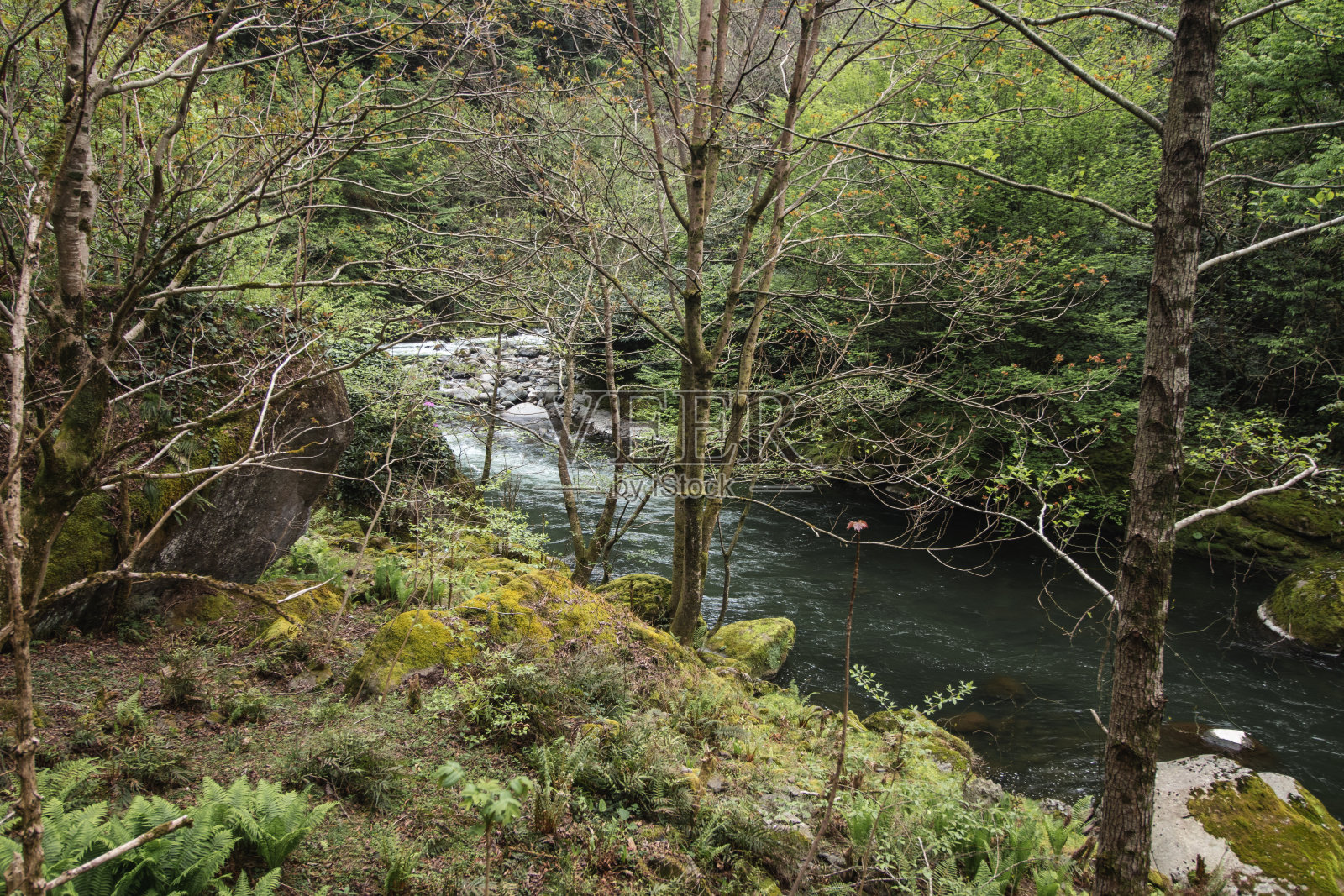 Chakvistskali河在格鲁吉亚的阿贾拉照片摄影图片