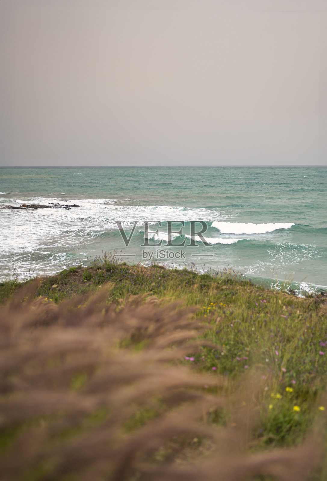 春天的地中海景观，前景是草坪上的花朵，背景是地中海，海浪拍打着海岸。照片摄影图片