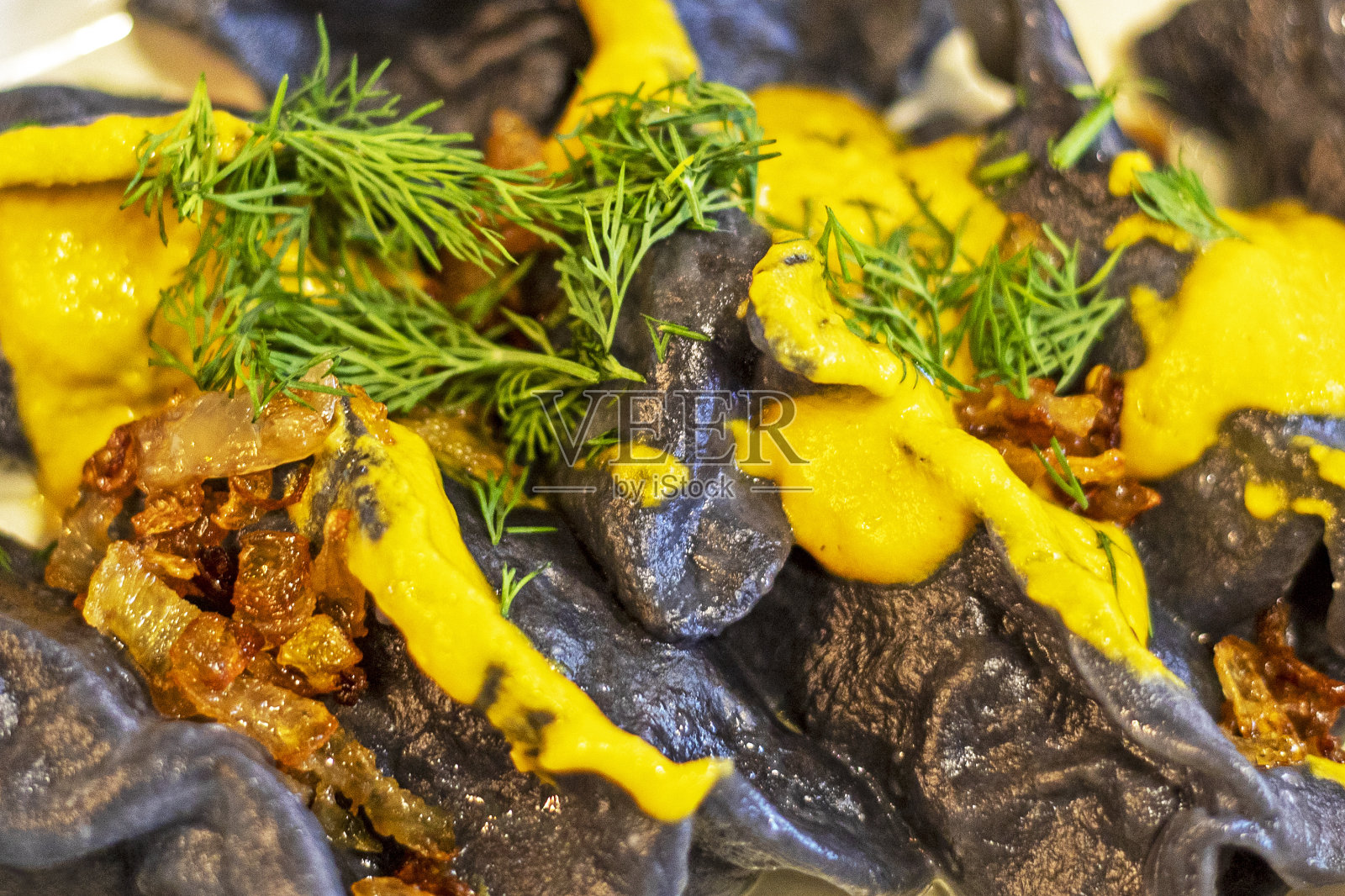 聪明的杰克罗素梗小狗与机器人吸尘器玩耍。房屋清洁和宠物照片摄影图片