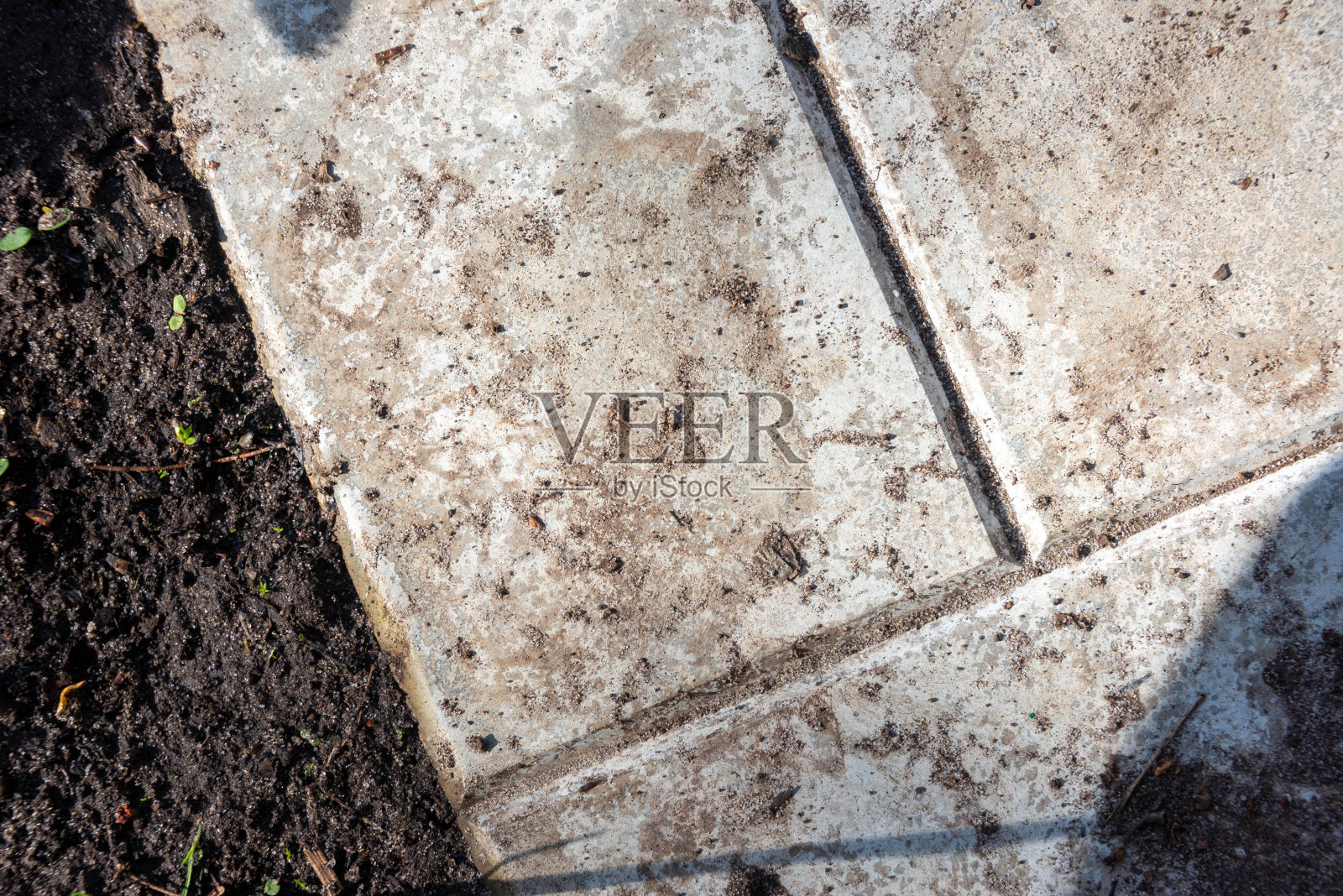 人行道边缘的混凝土瓷砖和地面上的植物芽。照片摄影图片