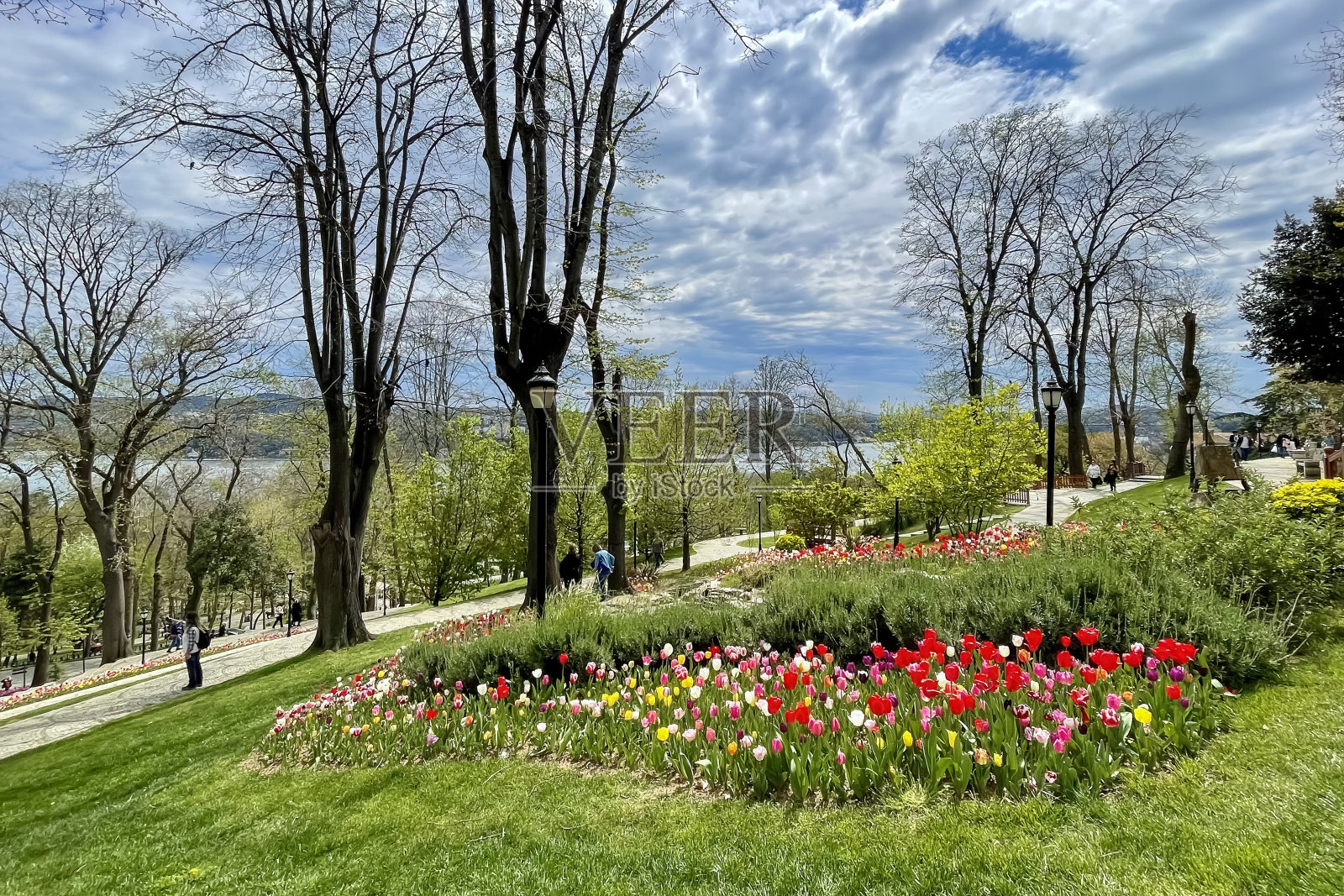 伊斯坦布尔五彩缤纷的春天。郁金香节热情在埃米尔格罗夫。照片摄影图片