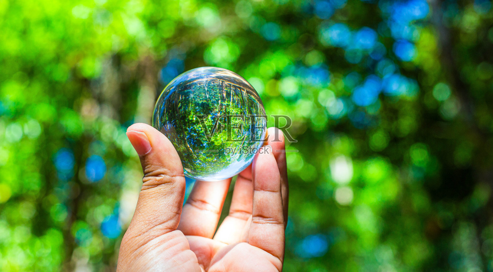 一个手持水晶球，以生态友好或可持续资源的概念树生长。从全球变暖中拯救环境。照片摄影图片