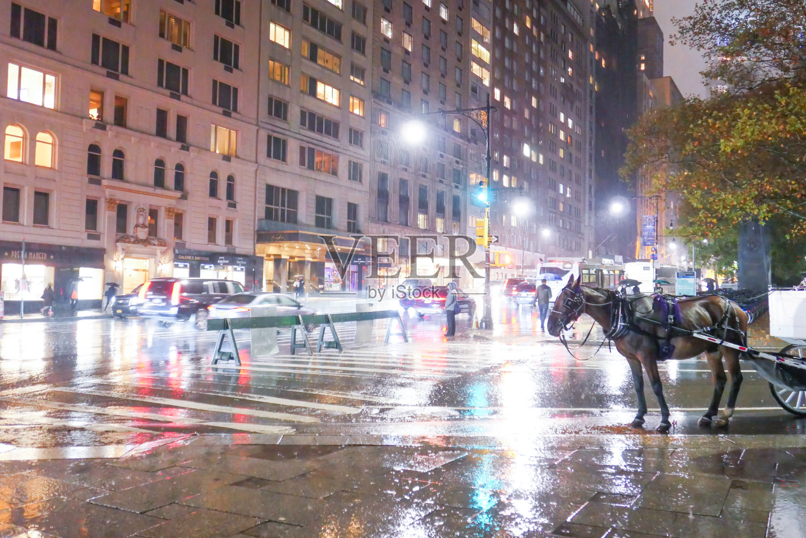 纽约城马照片摄影图片