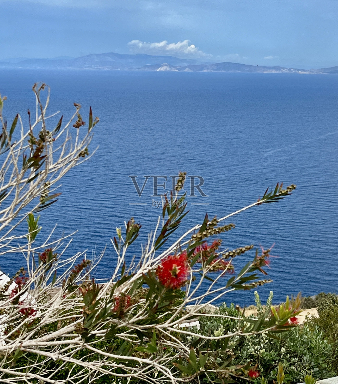红色的瓶刷灌木花映衬着蓝色的爱琴海，从锡弗诺斯岛眺望安提帕罗斯。照片摄影图片