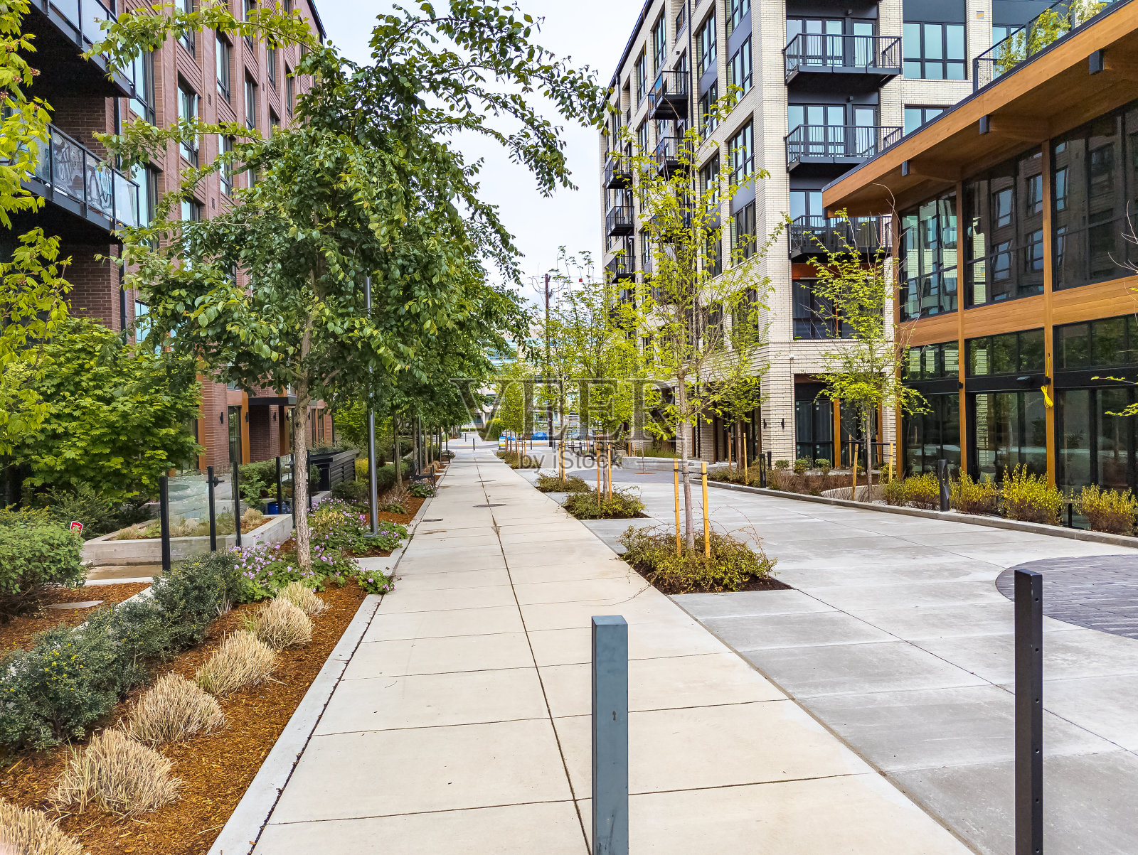 俄勒冈州波特兰市中心的一条典型街道,摄于春天照片摄影图片