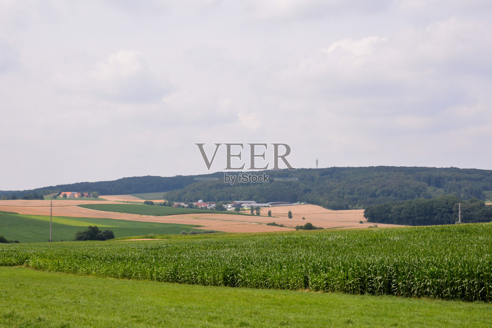 农村耕地景观照片摄影图片