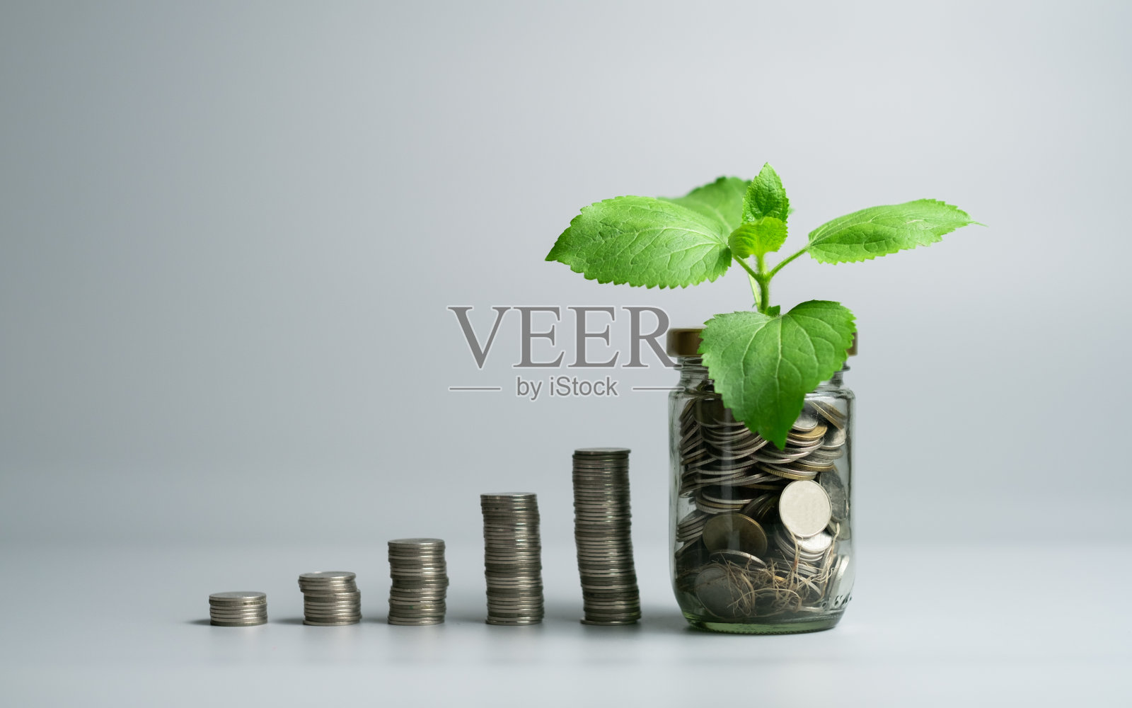 投资和储蓄资金增长率的概念，金融市场的成长和发展呈现出一株从装满硬币的玻璃罐中长出来的植物。灰色孤立的背景复制空间。照片摄影图片