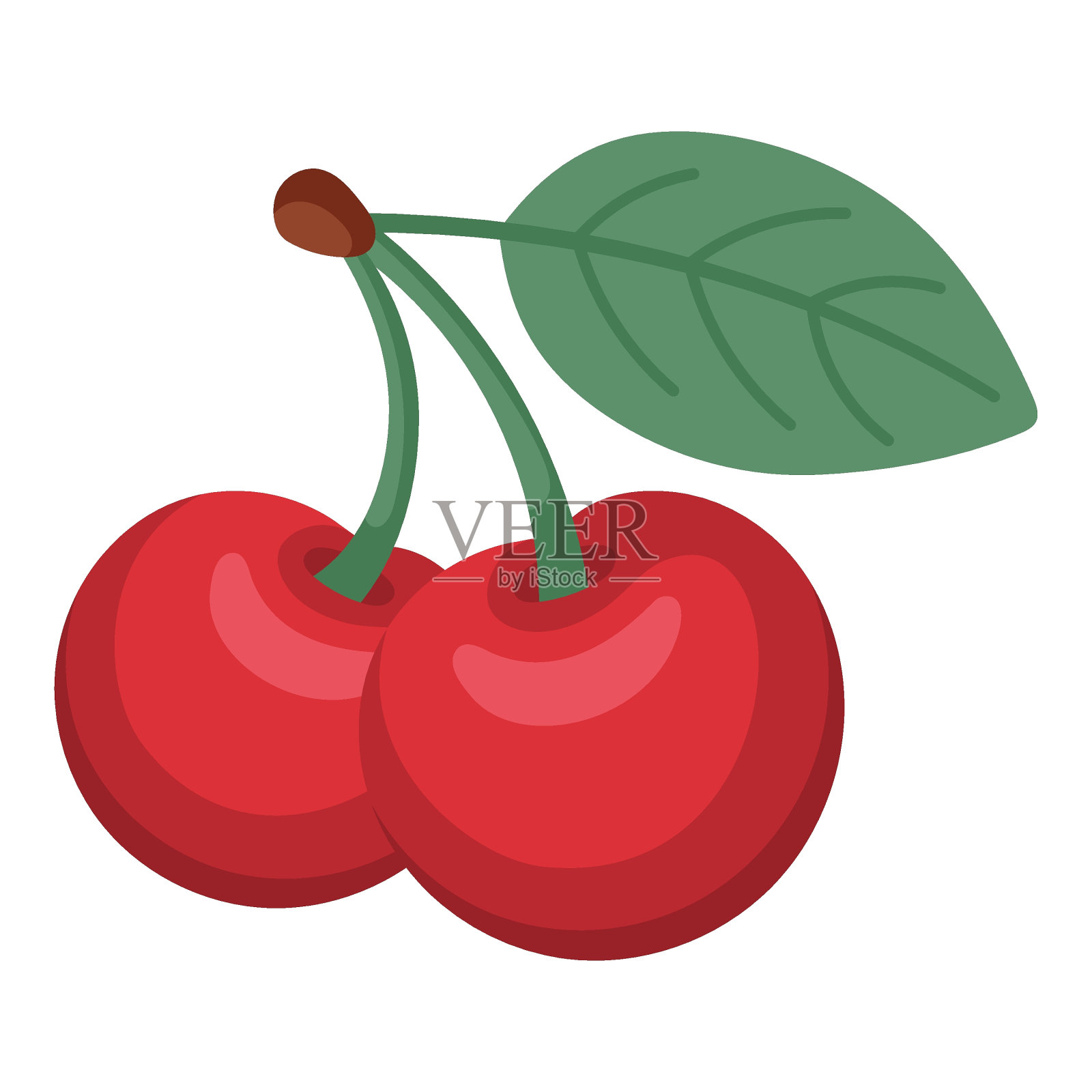 在白色背景上孤立的甜樱桃插画图片素材