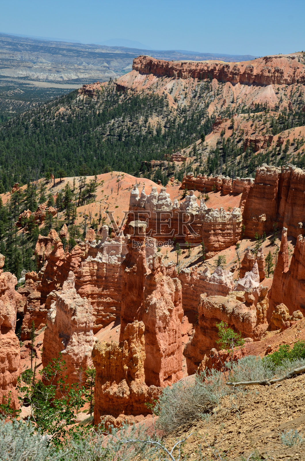 Felsen照片摄影图片