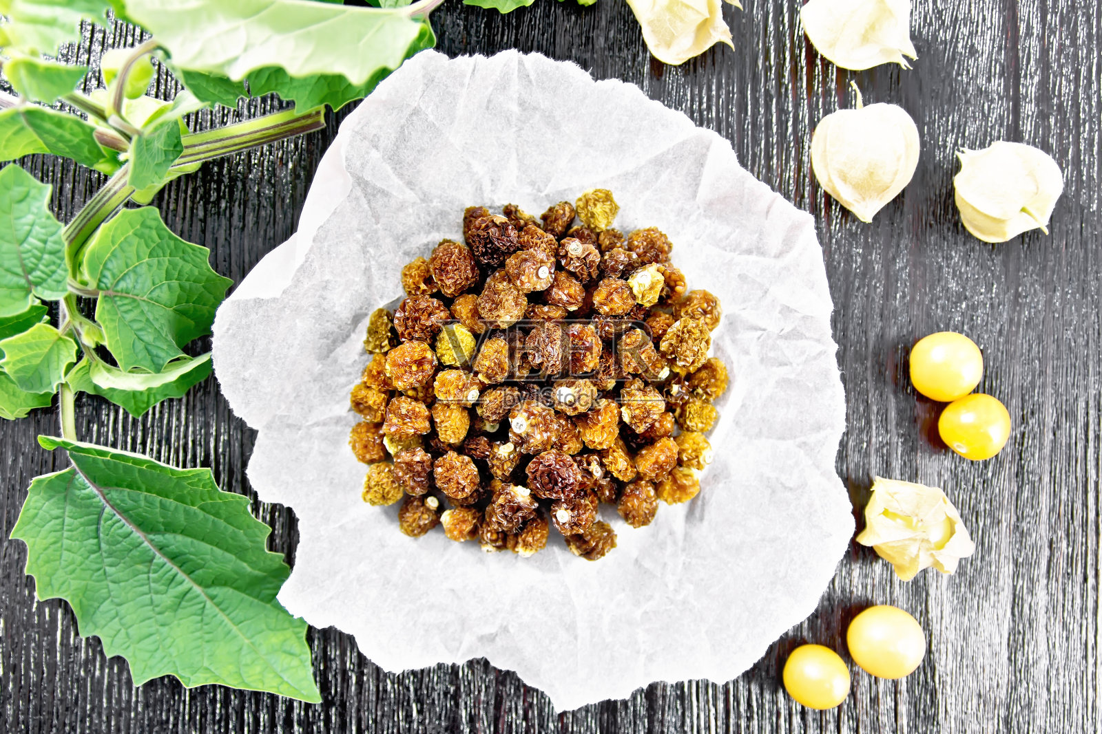 在纸板上用羊皮纸晒干Physalis照片摄影图片