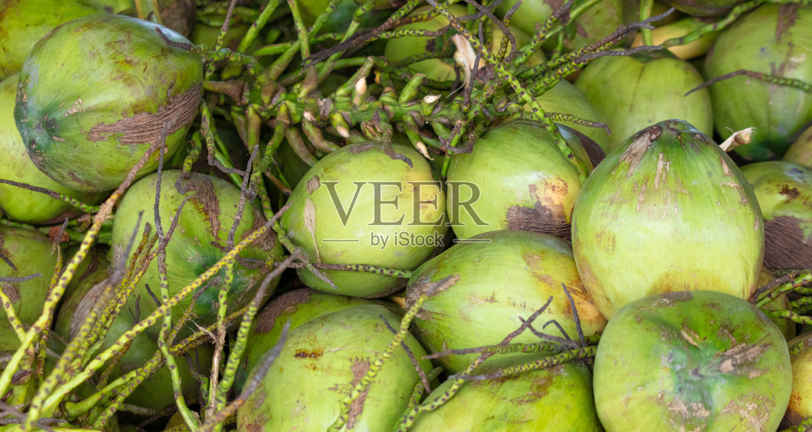 收获的绿色椰子作为背景照片摄影图片