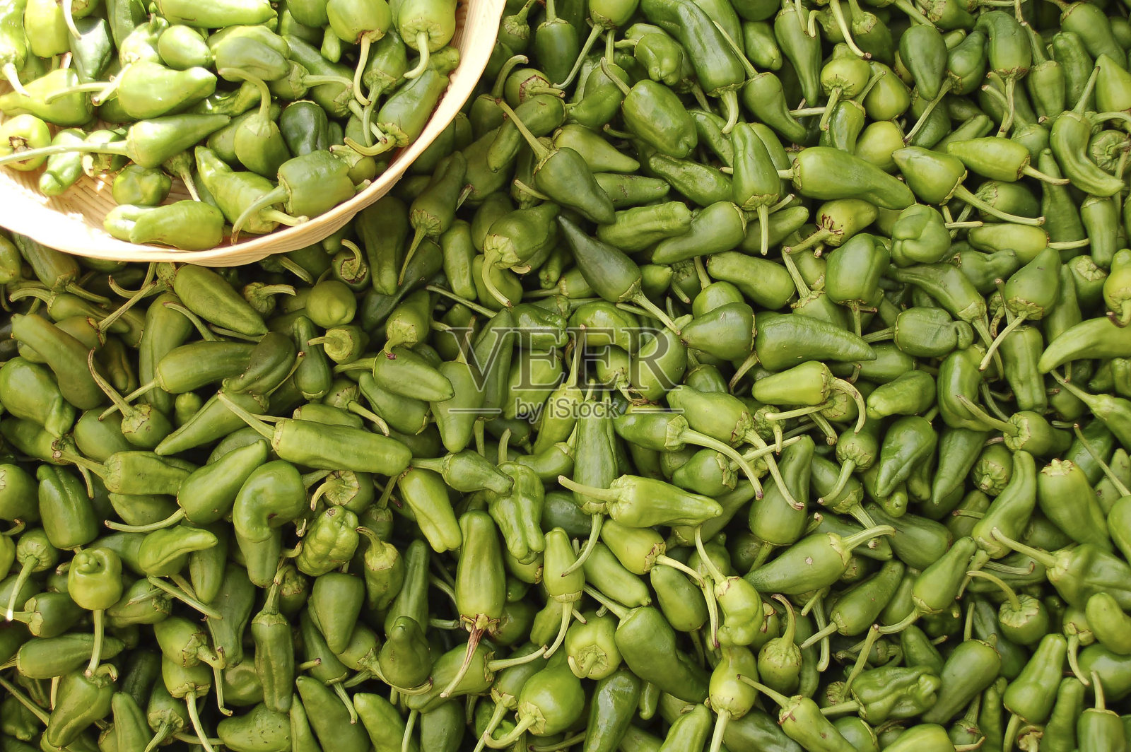 西班牙帕德隆辣椒照片摄影图片