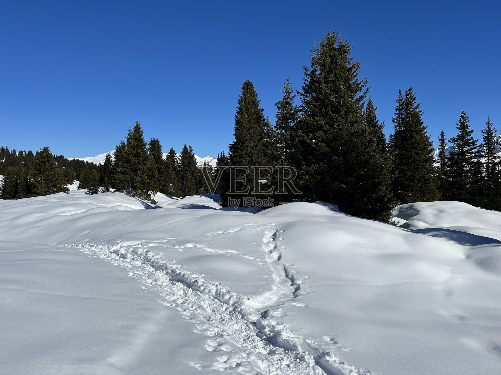 瑞士阿尔卑斯山脉和旅游胜地阿罗萨-格劳松州(瑞士Kanton graub<e:1> nden)的冬季徒步小径和小径，在新鲜的高山积雪中，瑞士格劳松州。照片摄影图片