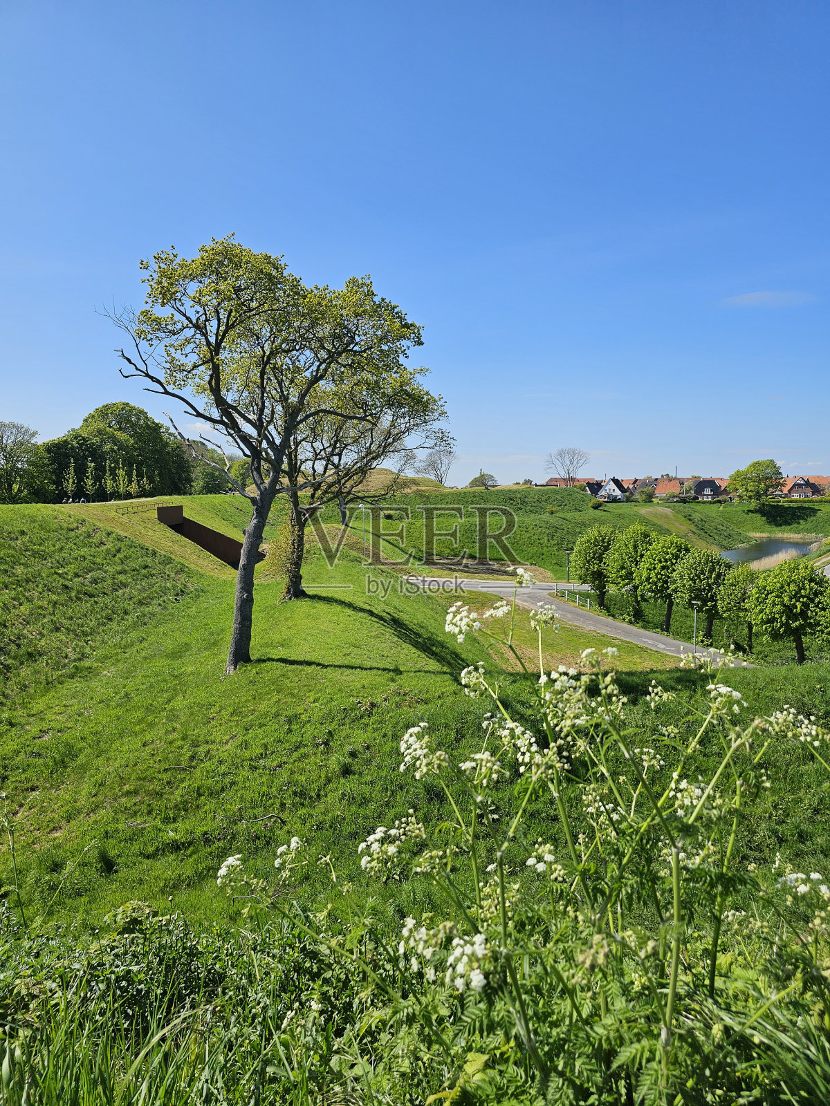 弗雷德里西亚美丽的防御工事照片摄影图片