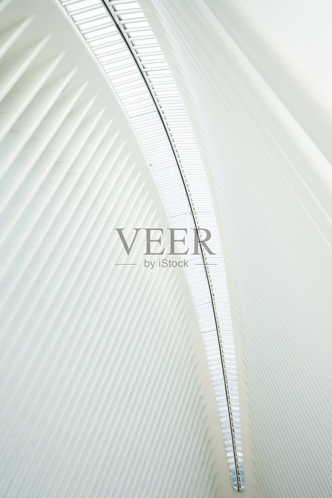 纽约Oculus内部的抽象设计照片摄影图片