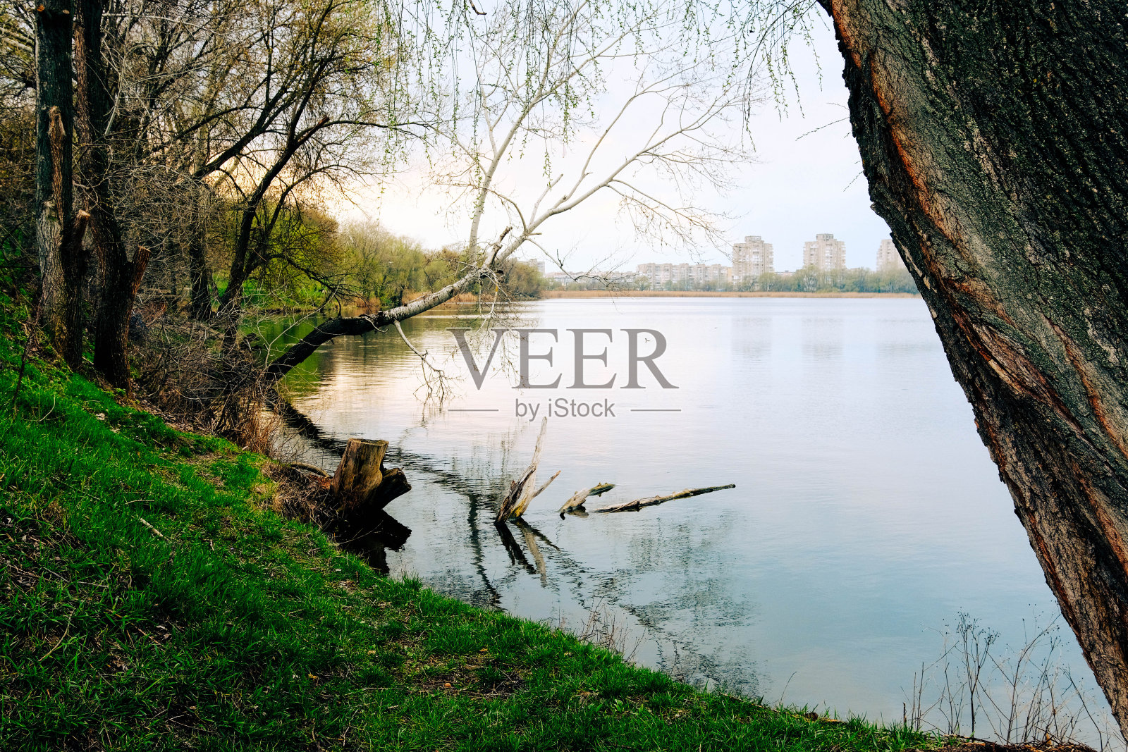 车哈湖在苏梅市市中心的天空反射城市景观鸟瞰公园，人们和谐相处照片摄影图片