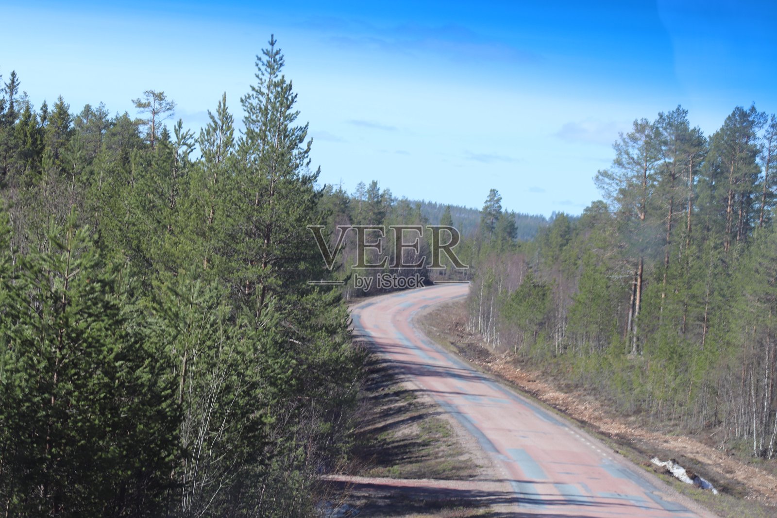 森林之路照片摄影图片