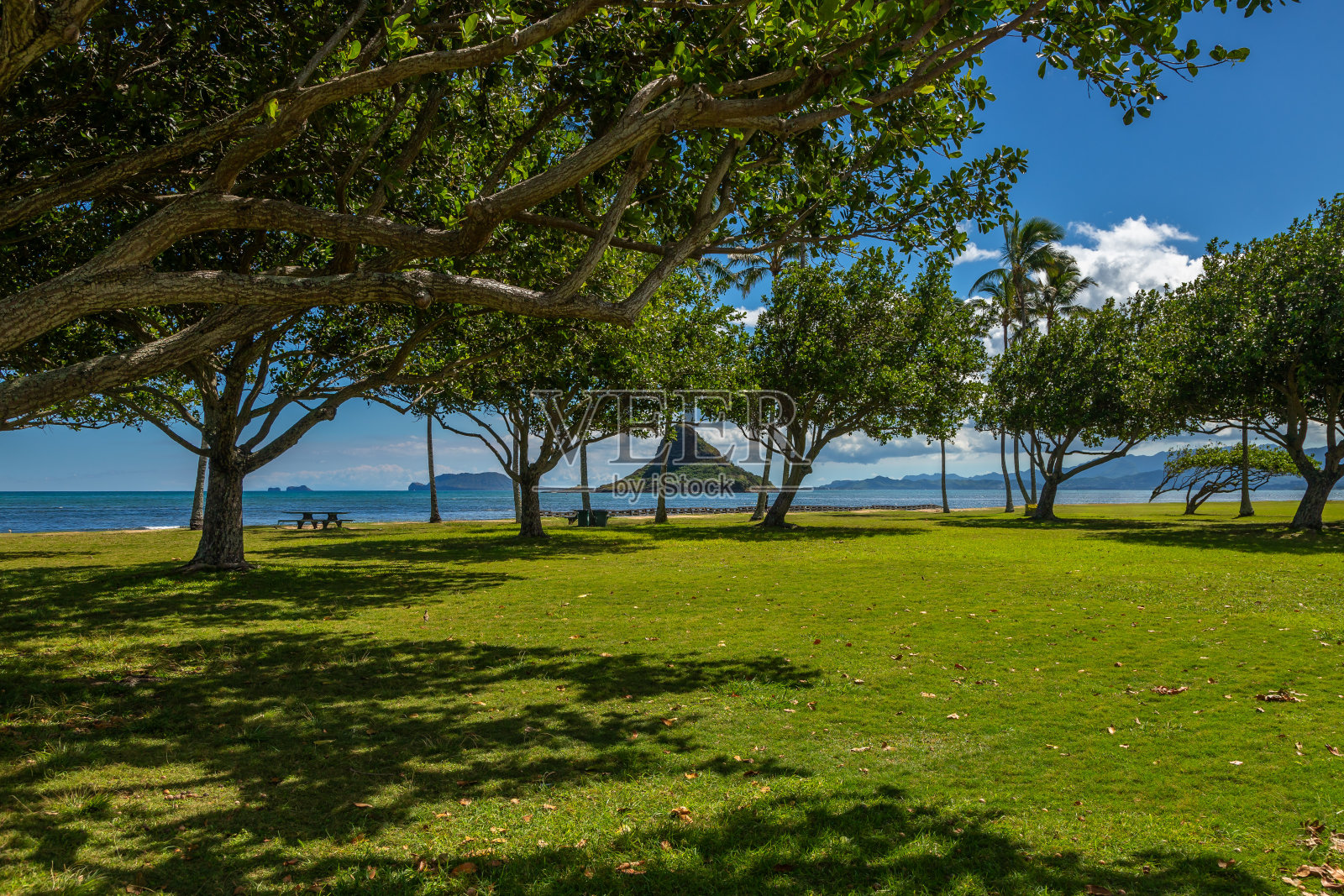 夏威夷瓦胡岛的夸罗亚地区公园照片摄影图片