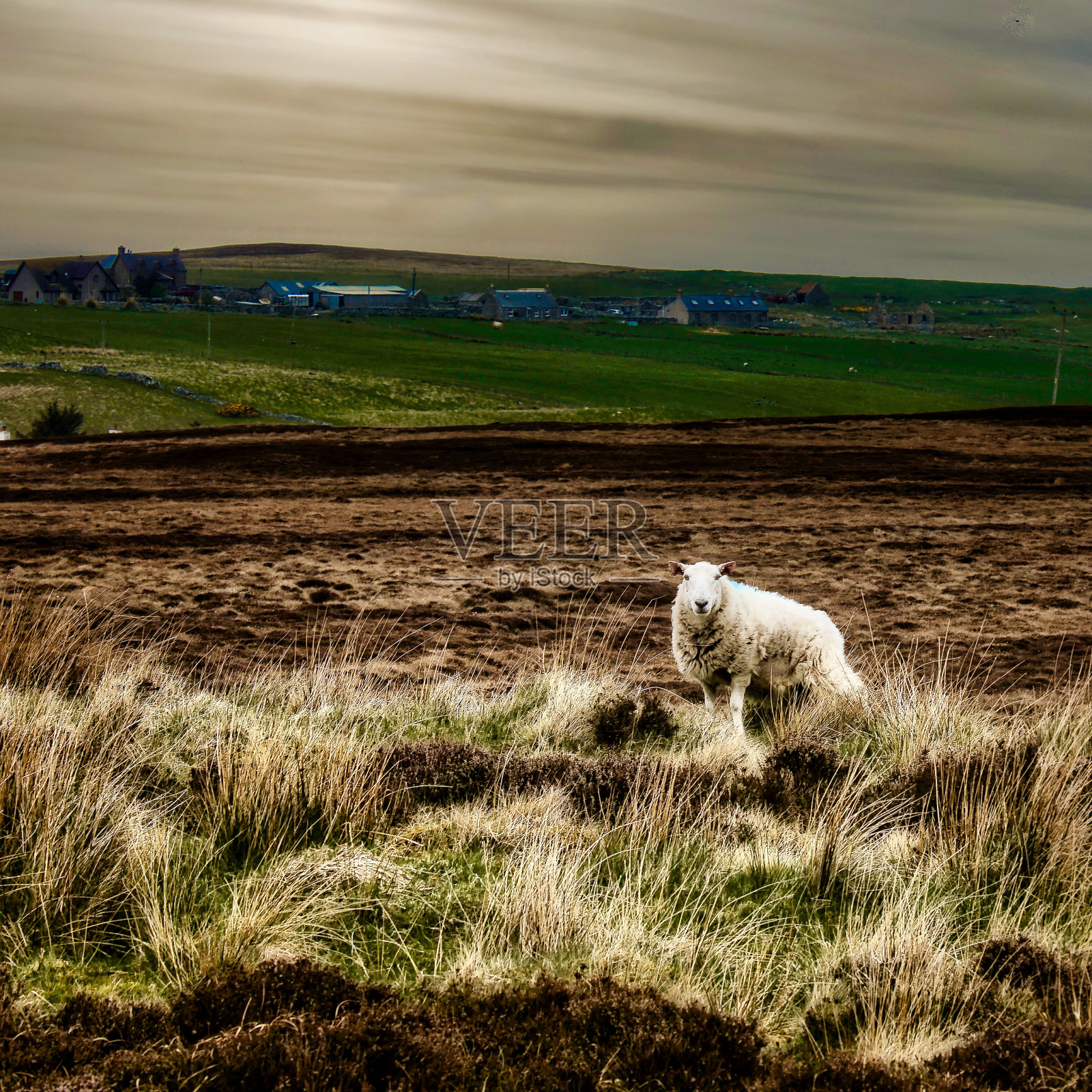 高地1照片摄影图片