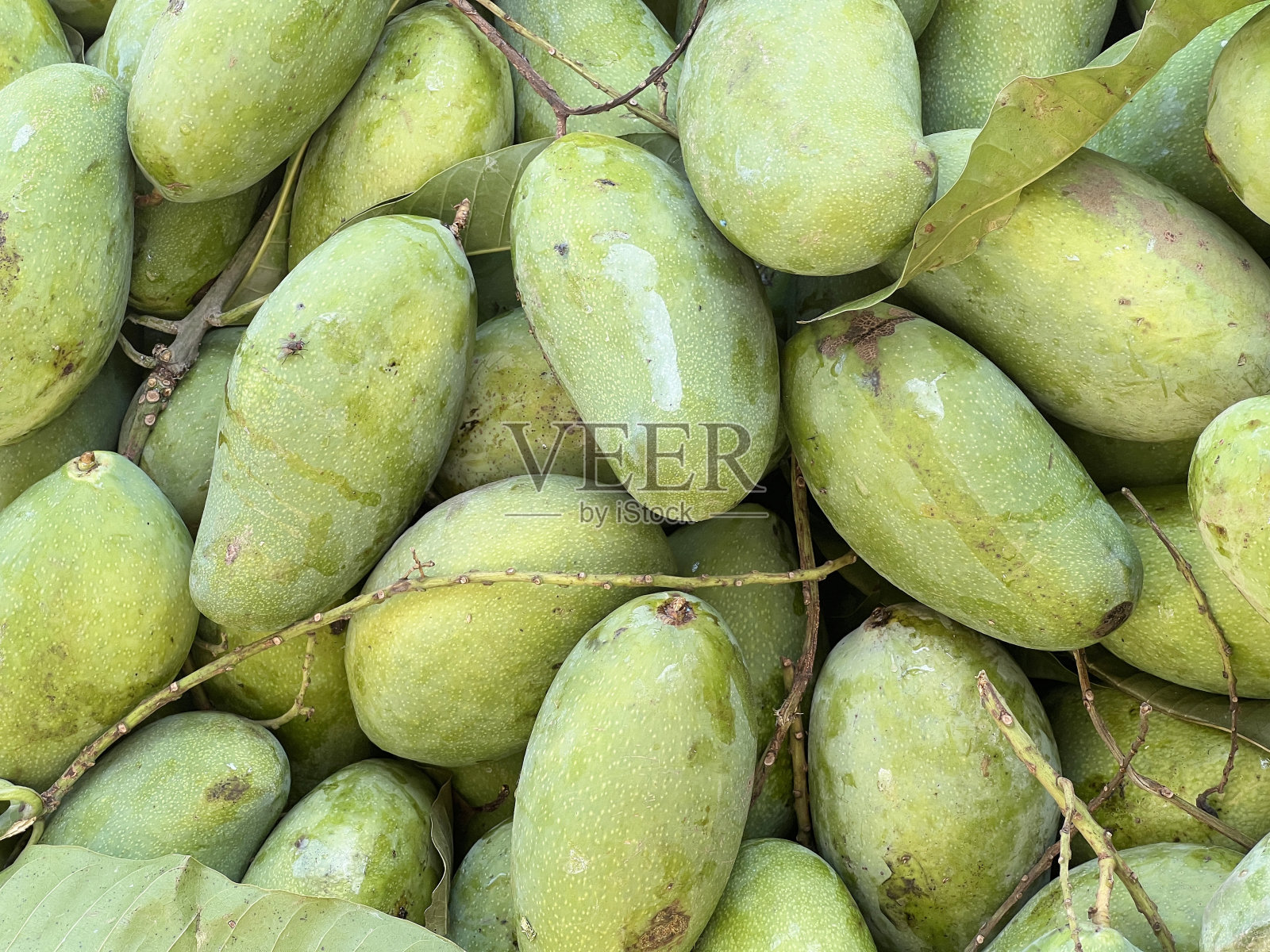 芒果果实照片摄影图片