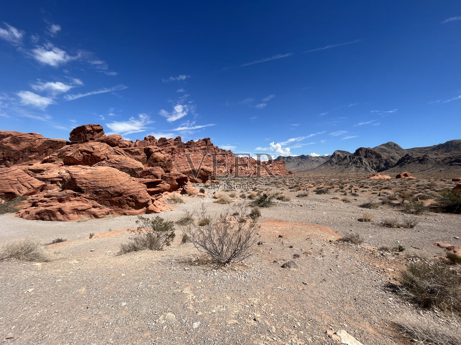 美国西海岸之旅照片摄影图片