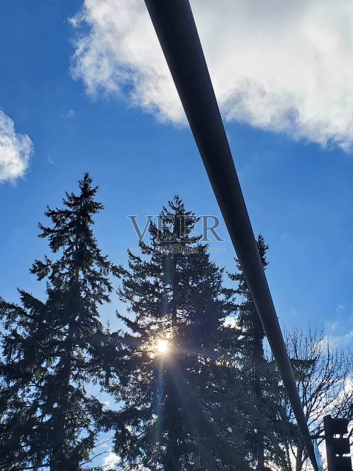 阳光穿过树林照片摄影图片