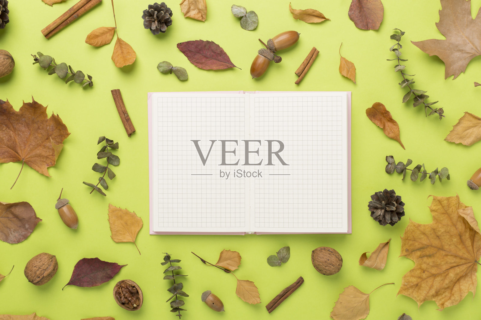 秋叶与笔记本彩色背景，俯视图照片摄影图片