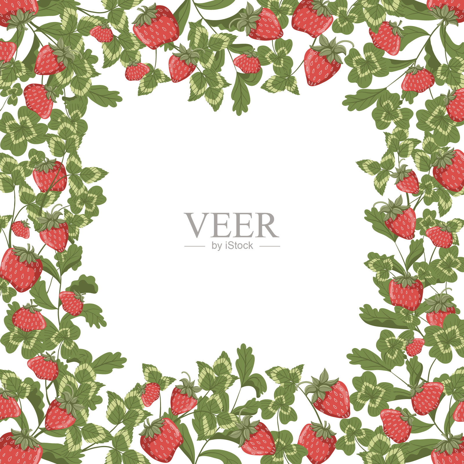 矢量方形框架与草莓和树叶插画图片素材