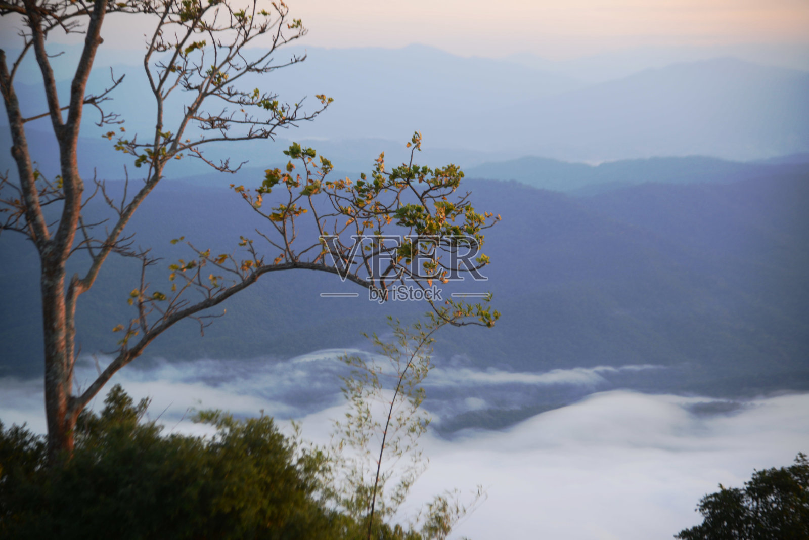 斯里兰卡国家公园，萨默岛的雾海。照片摄影图片