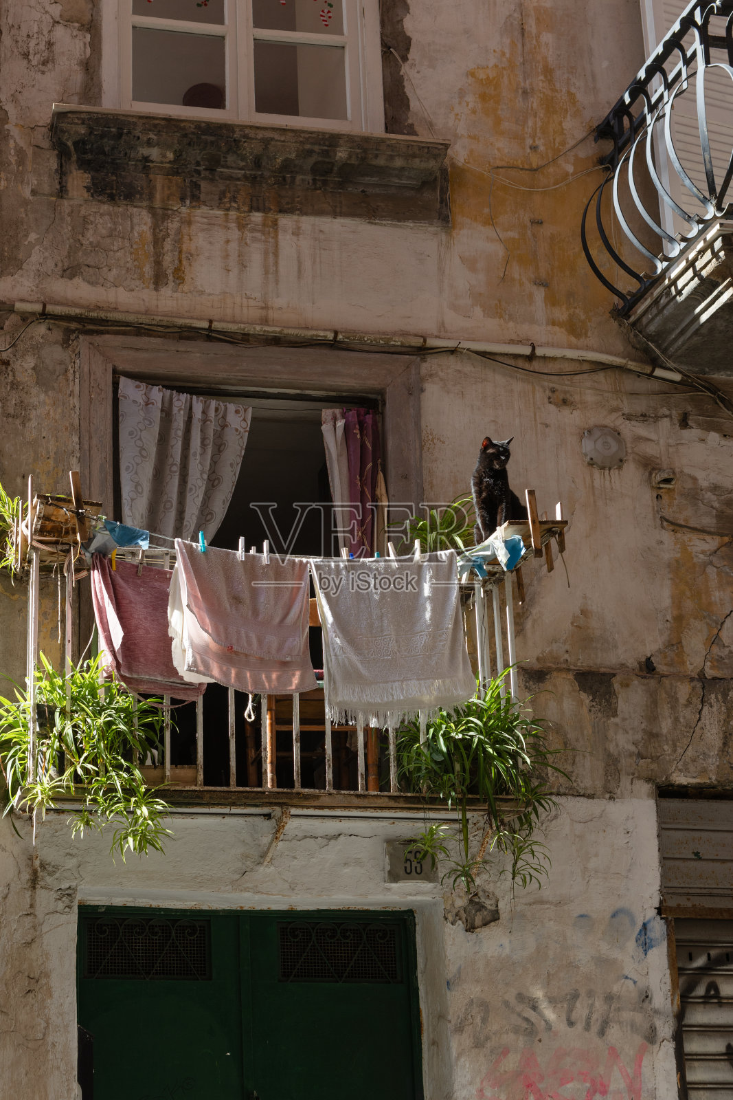 阳台上的黑猫照片摄影图片