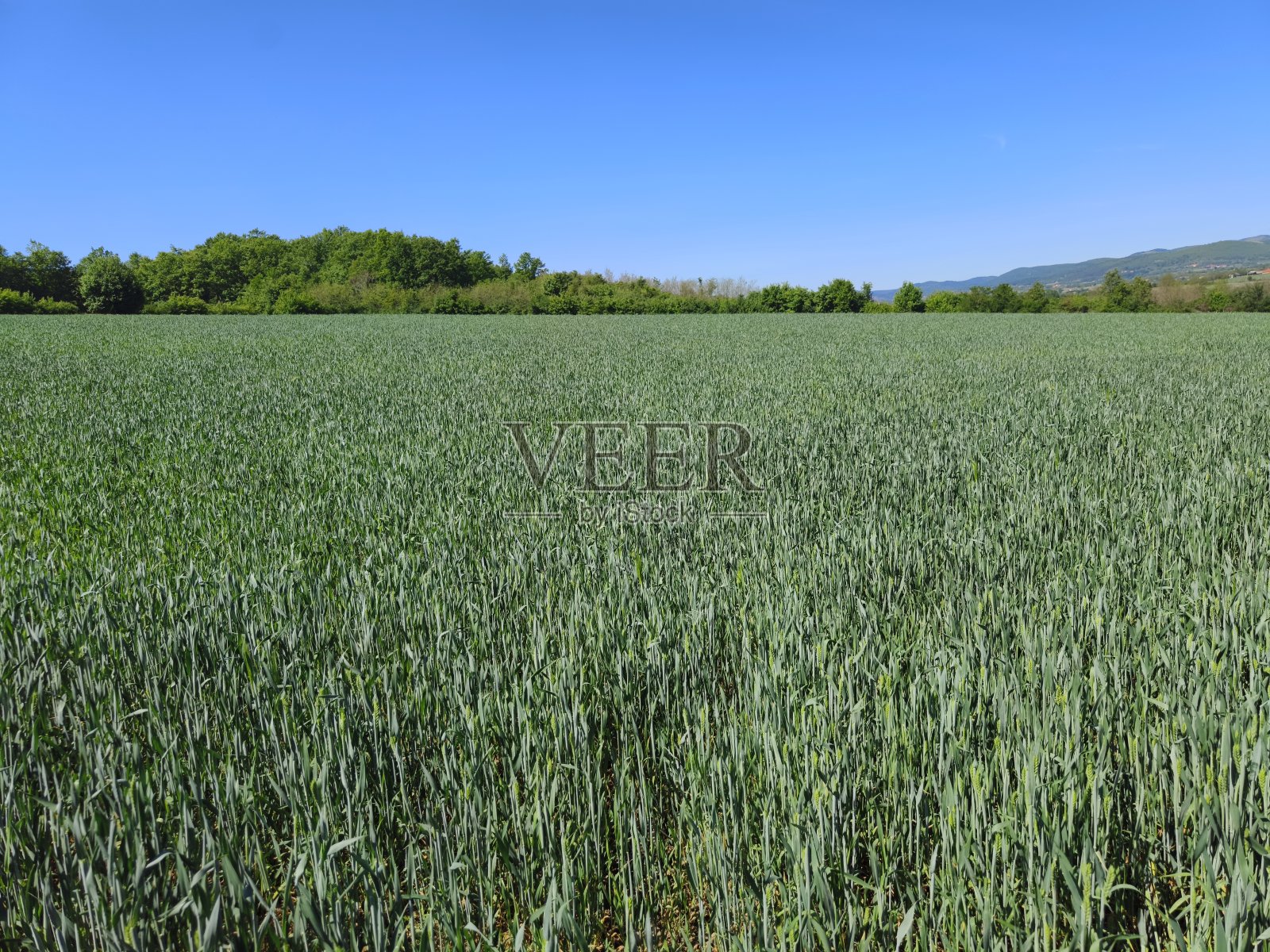 农业小型企业照片摄影图片