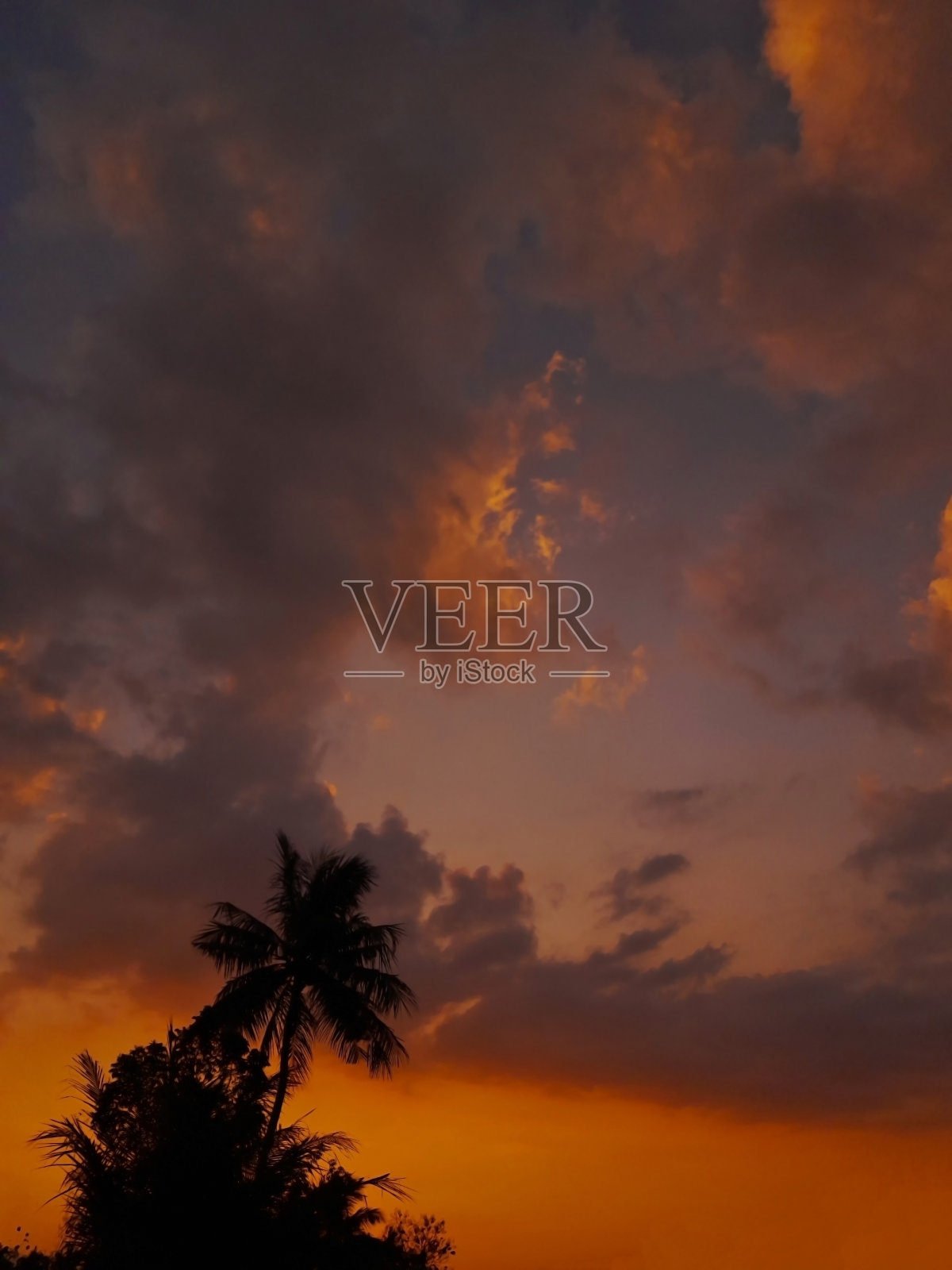 美丽的夜空展现。橙色的阳光与天空的蓝色色调混合在一起，创造出和谐照片摄影图片