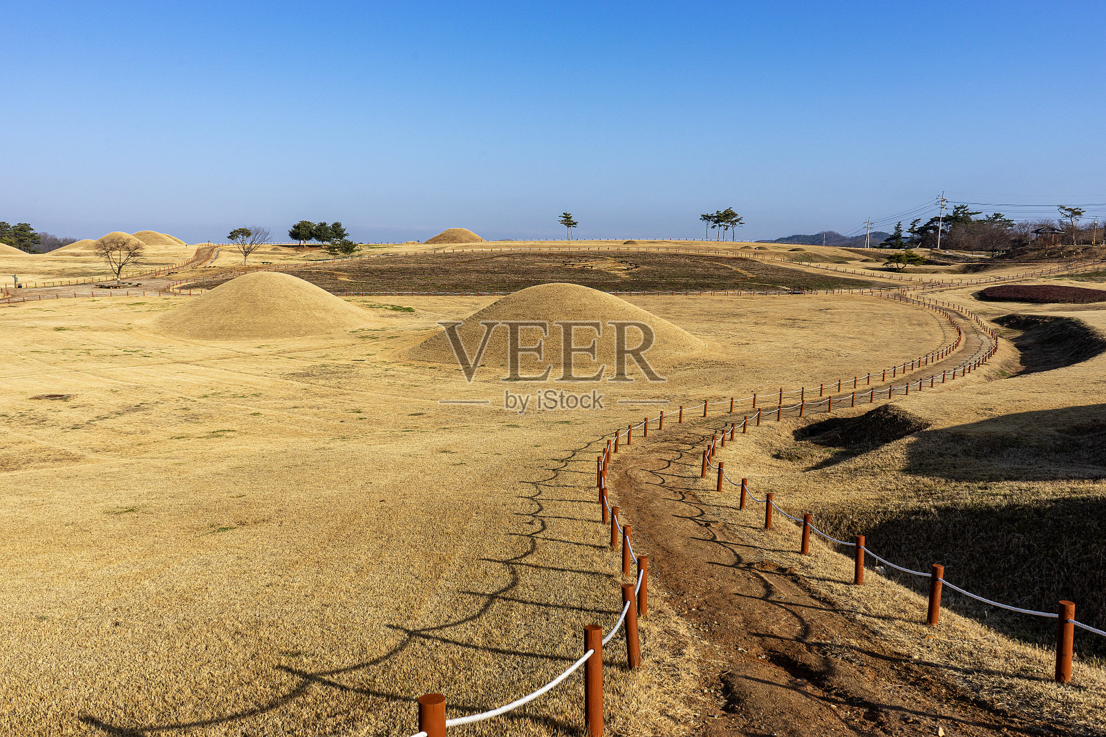 秋天的领域照片摄影图片