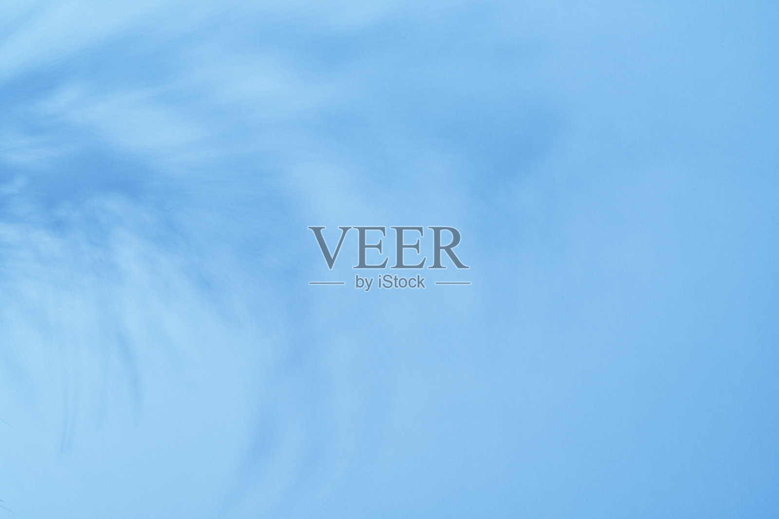 热带阴影树叶背景照片摄影图片