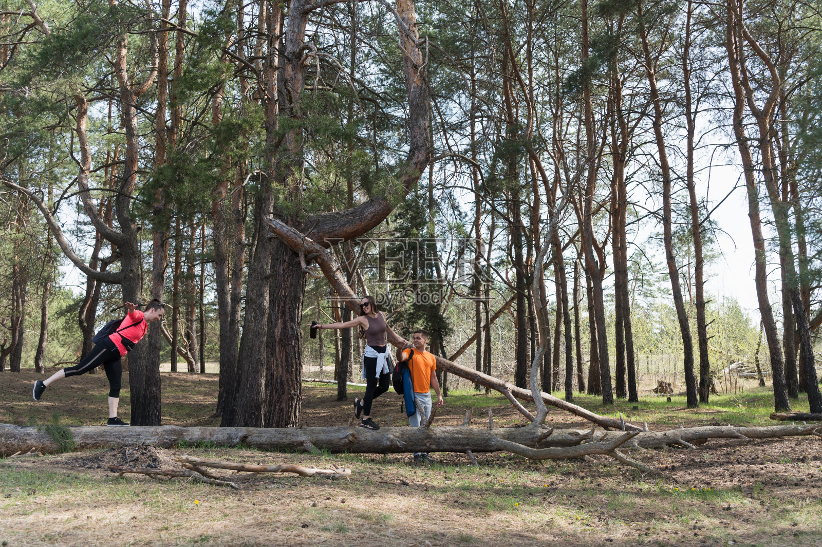 朋友们在森林里散步。照片摄影图片