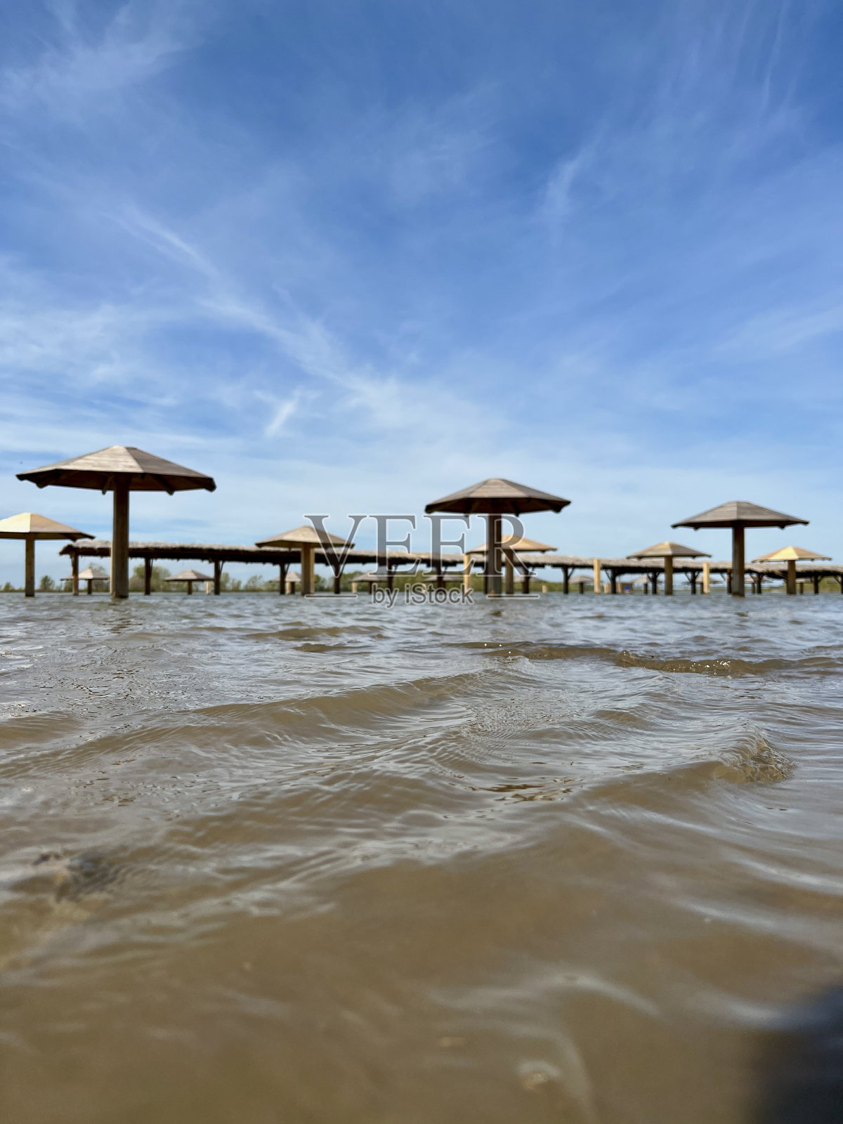 淹没河滩的木菌类在水中部分的一系列垂直图像照片摄影图片