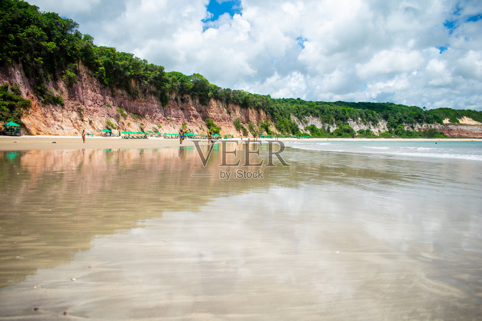 Baía dos Golfinhos照片摄影图片