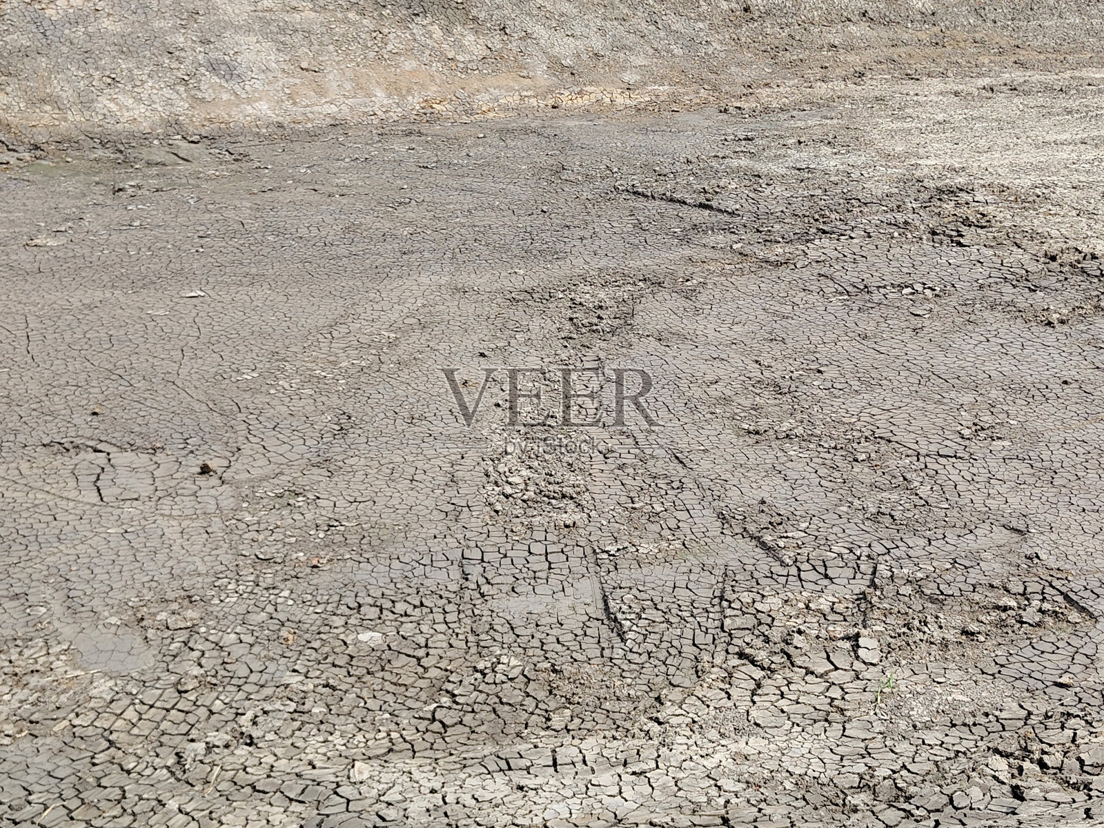 干池干裂土照片摄影图片