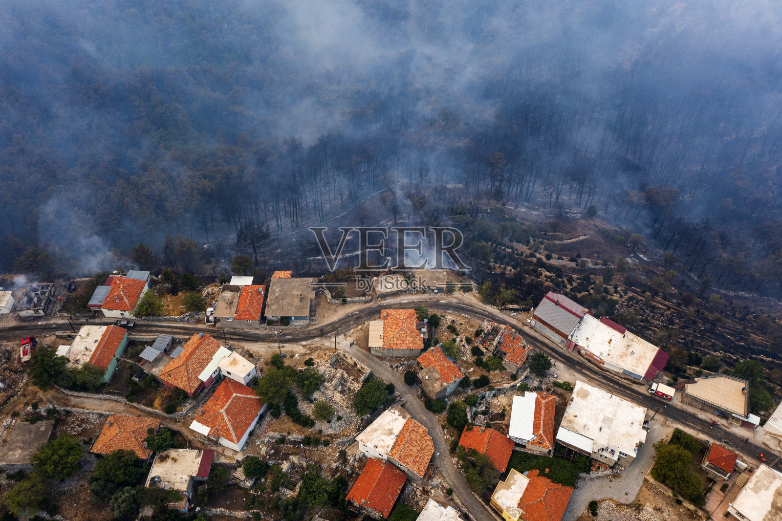 森林火灾：世纪特大灾难，自然与动物葬身火海，消防工作，空中和陆地直升机、消防飞机和消防车照片摄影图片