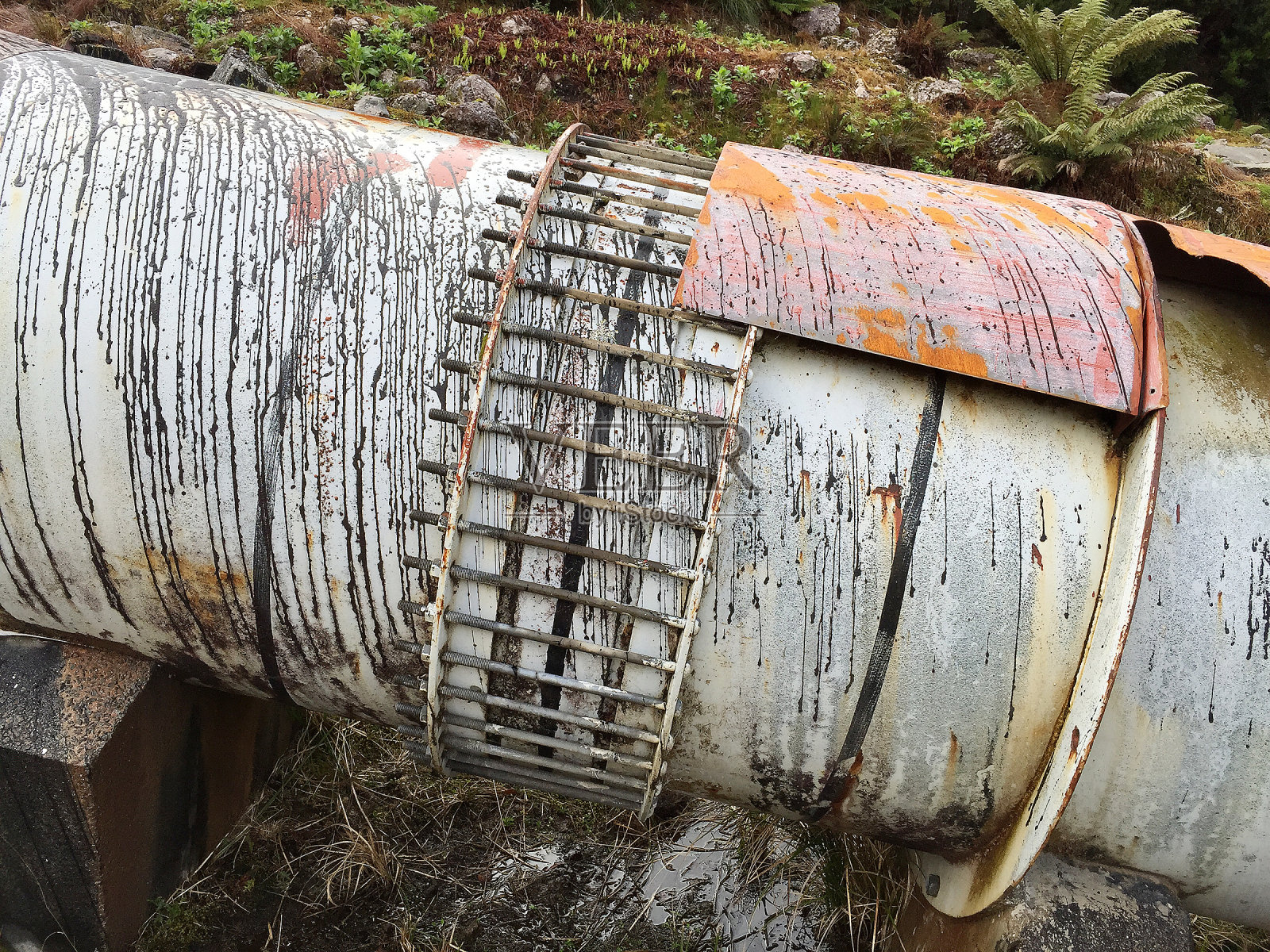 塔斯马尼亚岛西海岸玛格丽特湖的水管照片摄影图片