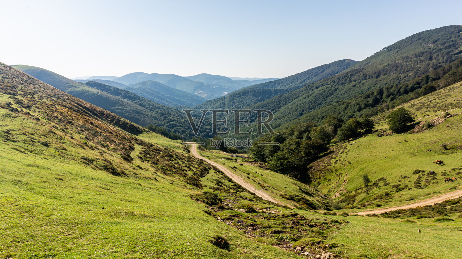 西班牙北部的比利牛斯山脉照片摄影图片