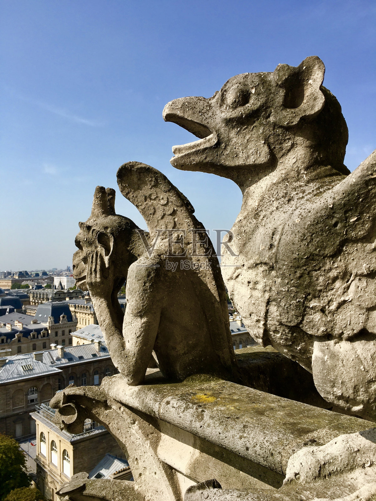 Gargola照片摄影图片