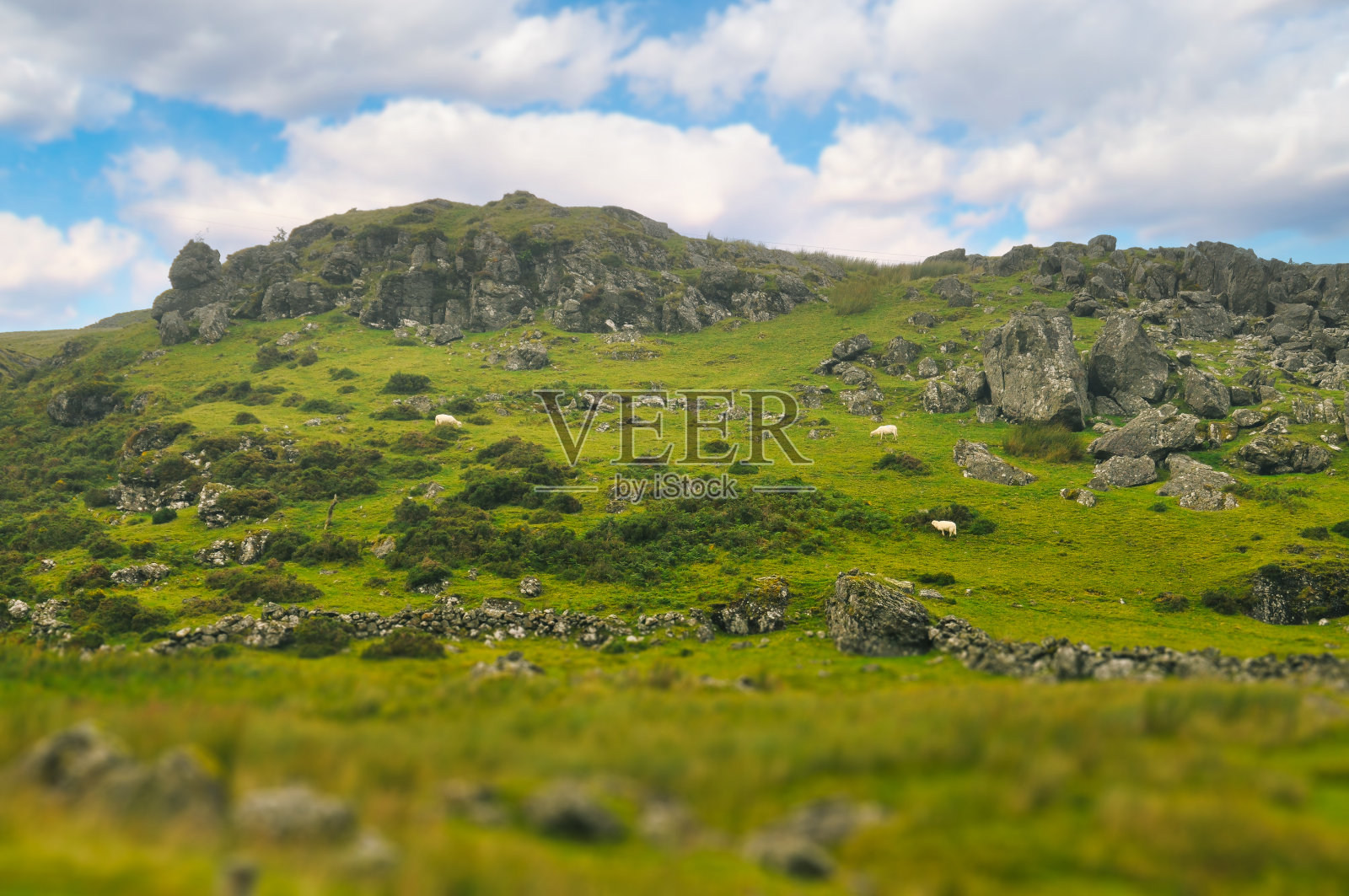 有岩石山和羊群的田园景观。背景看起来像一个玩具模型。照片摄影图片