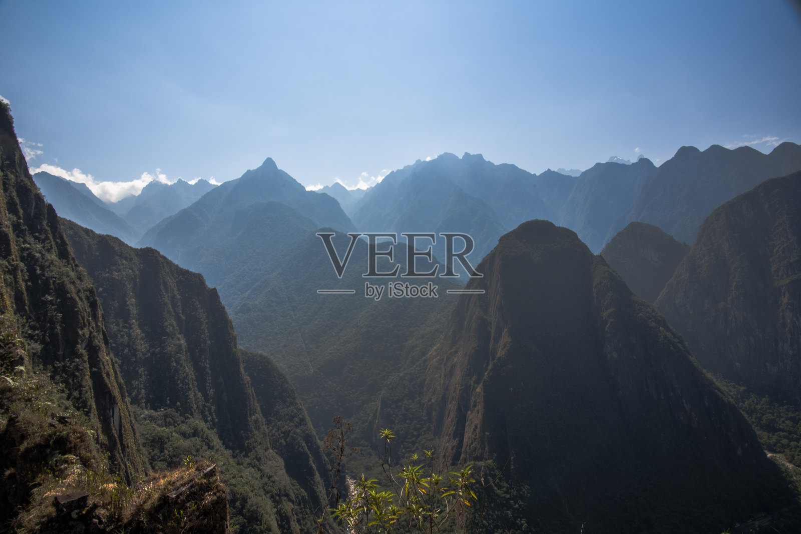 2023 8 21秘鲁山地采摘25照片摄影图片