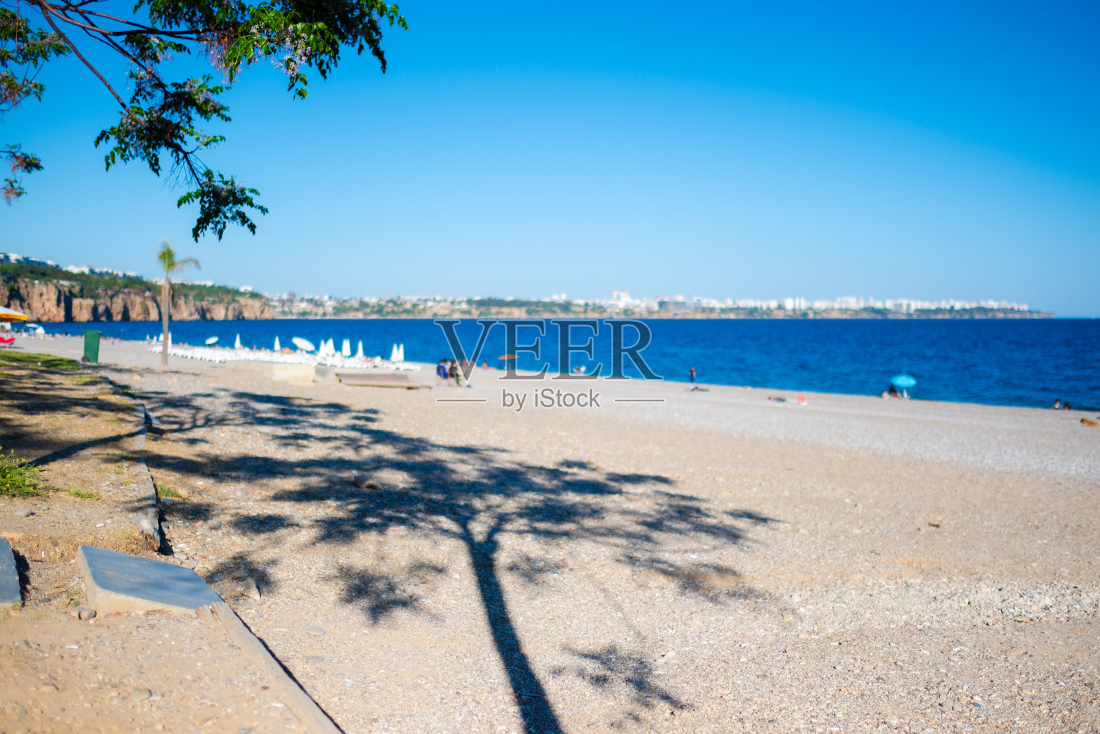 树的阴影和海景的看法照片摄影图片