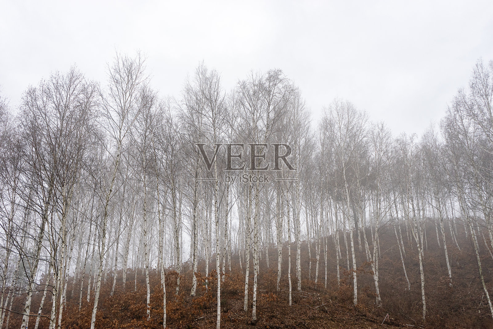 冬天的风景照片摄影图片