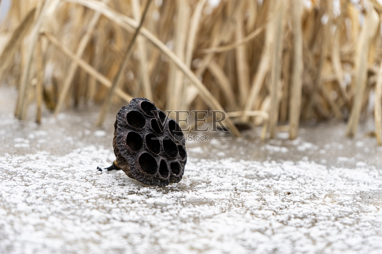 冬天的风景照片摄影图片